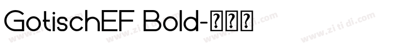 GotischEF Bold字体转换
